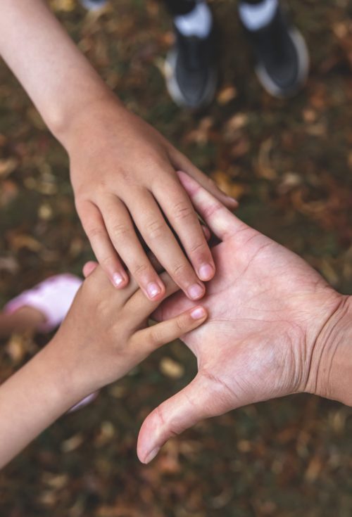 Two children's hands and one adult's hand, the concept of family, friendship.